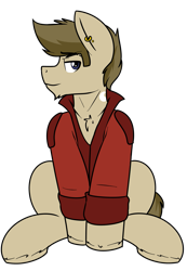 Size: 1449x2093 | Tagged: safe, artist:coatieyay, derpibooru original, oc, oc only, oc:paladin, species:pony, 2020 community collab, derpibooru community collaboration, chest fluff, chin fluff, clothing, ear piercing, earring, jacket, jewelry, male, piercing, simple background, solo, transparent background