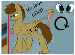 Size: 2209x1621 | Tagged: safe, artist:beardie, oc, oc only, oc:vicious loop, species:pegasus, species:pony, cutie mark, long tongue, male, reference sheet, stallion, tongue out