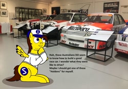 Size: 1280x891 | Tagged: safe, artist:didgereethebrony, oc, oc:ponyseb, species:pegasus, species:pony, australia, bathurst, dialogue, didgeree collection, holden, holden commodore, holden torana, mlp in australia, museum, national motor racing museum, peter brock, ponytail, solo