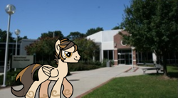 Size: 737x406 | Tagged: safe, artist:didgereethebrony, base used, oc, oc:bronze filigree, species:pegasus, species:pony, determined, irl, photo, ponies in real life, solo, trace