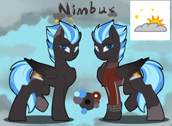 Size: 4680x3424 | Tagged: safe, artist:beardie, oc, oc:nimbus, species:pegasus, species:pony, clothing, color palette, colored wings, cutie mark, gradient wings, jacket, looking at you, male, reference sheet, side view, stallion, two toned mane, two toned tail, wings