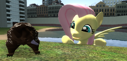 Size: 724x348 | Tagged: safe, artist:didgereethebrony, character:fluttershy, species:pegasus, species:pony, 3d, cute, echidna, female, gmod, solo