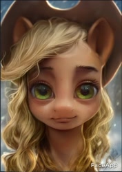 Size: 535x755 | Tagged: safe, artist:assasinmonkey, edit, character:applejack, species:earth pony, species:pony, clothing, cowboy hat, faceapp, female, hat, looking at you, mare, uncanny valley