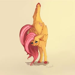 Size: 4000x4000 | Tagged: safe, artist:miokomata, character:fluttershy, species:pegasus, species:pony, backbend, badass, badass adorable, blushing, chest fluff, cute, dock, female, flexible, flutterbadass, freckles, freckleshy, handstand, mare, open mouth, shyabetes, signature, simple background, solo, underhoof, upside down, yoga