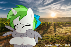 Size: 2200x1467 | Tagged: safe, artist:lazuli, artist:ponyrailartist, oc, oc only, oc:minty root, species:pony, irl, photo, ponies in real life