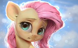 Size: 1440x900 | Tagged: safe, artist:assasinmonkey, character:fluttershy, species:pegasus, species:pony, blue background, bust, cute, digital art, ear fluff, female, mare, portrait, shyabetes, simple background, solo