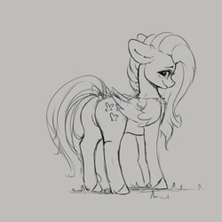 Size: 4000x4000 | Tagged: safe, artist:miokomata, character:fluttershy, species:pegasus, species:pony, chest fluff, dock, featureless crotch, female, freckles, freckleshy, looking at you, looking back, looking back at you, mare, monochrome, rear view, simple background, sketch
