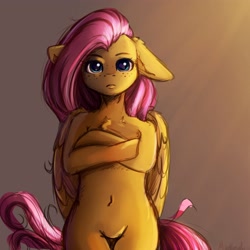 Size: 4000x4000 | Tagged: safe, artist:miokomata, character:fluttershy, species:pegasus, species:pony, belly button, chest fluff, crossed arms, featureless crotch, female, floppy ears, freckles, freckleshy, looking at you, mare, semi-anthro, signature, solo