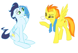 Size: 1000x682 | Tagged: safe, artist:elslowmo, artist:jessy, character:soarin', character:spitfire, colored, sweat, towel, wonderbolts