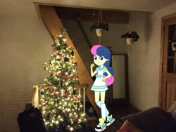 Size: 2048x1536 | Tagged: safe, artist:razethebeast, artist:topsangtheman, character:bon bon, character:sweetie drops, species:pony, my little pony:equestria girls, christmas, christmas lights, christmas tree, holiday, irl, looking at you, photo, plant, ponies in real life, solo, tree