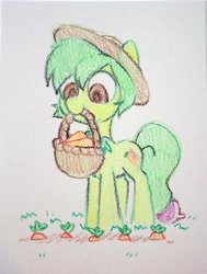 Size: 2848x3776 | Tagged: safe, artist:dawnfire, oc, oc only, species:earth pony, species:pony, basket, carrot, food, herbivore, mouth hold, solo, traditional art