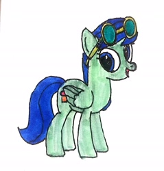 Size: 2408x2524 | Tagged: safe, artist:topsangtheman, character:blueberry cake, species:pegasus, species:pony, alternate hairstyle, blueberry cake, equestria girls ponified, female, looking at you, ponified, simple background, solo, sunglasses, traditional art, white background