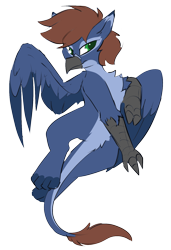 Size: 1166x1707 | Tagged: safe, artist:beardie, patreon reward, oc, oc only, oc:warly, species:griffon, beak, chest fluff, claws, colored pupils, griffonized, male, patreon, paws, simple background, solo, species swap, spread wings, transparent background, wings