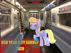 Size: 3264x2448 | Tagged: safe, artist:topsangtheman, character:cloud kicker, species:pegasus, species:pony, coronavirus, covid-19, face mask, irl, looking at you, new york city, new york city subway, photo, ponies in real life