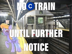 Size: 2048x1536 | Tagged: safe, artist:topsangtheman, character:cloud kicker, species:pegasus, species:pony, c train, coronavirus, covid-19, irl, looking at you, n95, new york city, new york city subway, photo, ponies in real life, ppe, r32