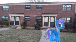 Size: 5952x3348 | Tagged: safe, artist:topsangtheman, species:pegasus, species:pony, house, irl, looking at you, photo, ponies in real life, rain dancer, solo, traditional art