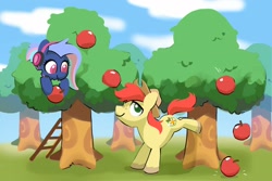 Size: 1800x1200 | Tagged: safe, artist:dawnfire, character:bright mac, oc, oc:bit rate, species:earth pony, species:pony, apple, apple tree, bucking, clothing, female, food, hat, headphones, ladder, looking at you, male, mare, smiling, stallion, tree