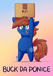 Size: 1280x1840 | Tagged: safe, artist:dsp2003, oc, oc:chillycube, species:earth pony, species:pony, bipedal, blushing, cardboard box, chibi, fuck the police, gradient background, holding, male, open mouth, pun, pure unfiltered evil, signature