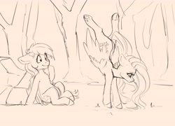 Size: 4000x2885 | Tagged: safe, artist:miokomata, character:fluttershy, character:rainbow dash, species:pegasus, species:pony, chest fluff, eyes on the prize, female, floppy ears, freckles, freckleshy, handstand, mare, monochrome, simple background, sketch, upside down