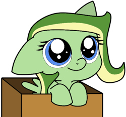 Size: 550x512 | Tagged: safe, artist:didgereethebrony, artist:lilylupony, base used, oc, oc:boomerang beauty, species:pegasus, species:pony, blue eyes, box, cute, female, filly, floppy ears, hooves on the top of the box, in a box, ocbetes, pony in a box, simple background, solo, trace, transparent background