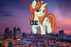 Size: 3799x2533 | Tagged: safe, artist:cheezedoodle96, artist:quang nguyen vinh, character:crackle cosette, character:queen chrysalis, species:pony, species:unicorn, camera, city, cityscape, disguised changeling, female, giant changeling, giant pony, giant unicorn, giantess, highrise ponies, irl, macro, mega giant, photo, ponies in real life, sunset