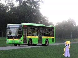 Size: 3264x2448 | Tagged: safe, artist:topsangtheman, character:cloud kicker, species:pegasus, species:pony, bus, forest, irl, looking at you, photo, ponies in real life, solo, tree