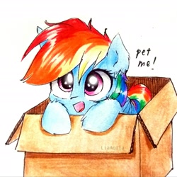 Size: 2231x2231 | Tagged: safe, artist:liaaqila, character:rainbow dash, species:pegasus, species:pony, box, bronybait, cardboard box, cute, dashabetes, ear fluff, female, leg fluff, pet request, pony in a box, simple background, solo, traditional art, white background