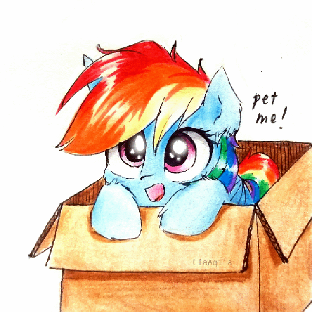 Size: 640x640 | Tagged: safe, artist:liaaqila, character:rainbow dash, species:pegasus, species:pony, animated, box, bronybait, cardboard box, cute, dashabetes, female, if i fits i sits, liaaqila is trying to murder us with dashabetes, mare, pet request, pony in a box, solo, weapons-grade cute