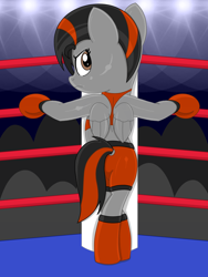 Size: 1200x1600 | Tagged: safe, artist:toyminator900, oc, oc only, oc:dusk strike, species:pegasus, species:pony, bipedal, boxing, boxing gloves, boxing ring, clothing, crowd, looking at you, sports, sports bra