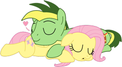 Size: 912x498 | Tagged: safe, artist:didgereethebrony, artist:drunkencoffee, base used, character:fluttershy, oc, oc:didgeree, species:pegasus, species:pony, butt pillow, canon x oc, cute, cutie mark, floating heart, heart, shipping, simple background, sleeping, trace, transparent background