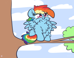 Size: 3250x2560 | Tagged: safe, artist:kimjoman, character:rainbow dash, species:pegasus, species:pony, behaving like a bird, chest fluff, cute, female, fluffy, impossibly large chest fluff, looking up, mare, on a branch, outdoors, solo, spread wings, tree, tree branch, wings
