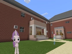 Size: 2048x1536 | Tagged: safe, artist:topsangtheman, character:majorette, character:starlight glimmer, character:sweeten sour, species:pony, species:unicorn, my little pony:equestria girls, 3d, house, looking at you, majorette, minecraft, photoshopped into minecraft, source filmmaker, sweeten sour