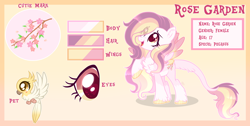 Size: 3444x1741 | Tagged: safe, artist:lazuli, artist:sugaryicecreammlp, base used, oc, oc only, oc:rose garden, parent:big macintosh, parent:fluttershy, parents:fluttermac, species:bird, species:pegasus, species:pony, adopted offspring, chest fluff, colored wings, female, leonine tail, looking up, mare, multicolored wings, offspring, pet oc, reference sheet, solo, unshorn fetlocks, wings