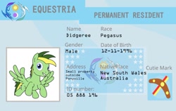 Size: 1280x807 | Tagged: safe, artist:didgereethebrony, oc, oc:didgeree, species:pegasus, species:pony, cutie mark, equestrian flag, id card, solo