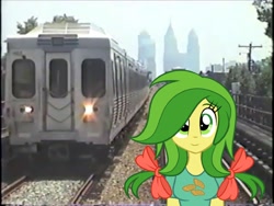 Size: 2048x1536 | Tagged: safe, artist:topsangtheman, character:apple fritter, species:pony, my little pony:equestria girls, apple family member, equestria girls-ified, irl, looking at you, philadelphia, photo, ponies in real life, septa, train
