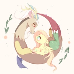 Size: 1024x1024 | Tagged: safe, artist:ipun, character:discord, character:fluttershy, species:draconequus, species:pegasus, species:pony, ship:discoshy, bedroom eyes, blushing, curled up, cute, eye contact, female, floppy ears, looking at each other, male, mare, no pupils, profile, shipping, sitting, straight, wings