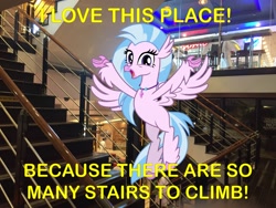 Size: 3264x2448 | Tagged: safe, artist:cheezedoodle96, artist:topsangtheman, character:silverstream, species:hippogriff, species:pony, g4, caption, happy, irl, looking at you, meme, photo, ponies in real life, spa castle, stairs, that hippogriff sure does love stairs