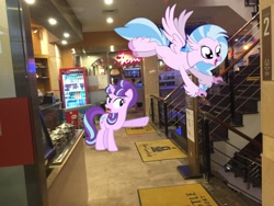 Size: 3264x2448 | Tagged: safe, artist:cheezedoodle96, artist:topsangtheman, character:silverstream, character:starlight glimmer, species:hippogriff, species:pony, species:unicorn, g4, irl, photo, pointing, ponies in real life, spa castle, stairs, that hippogriff sure does love stairs
