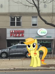 Size: 2448x3264 | Tagged: safe, artist:90sigma, artist:topsangtheman, character:jonagold, species:earth pony, species:pony, g4, apple family member, building, irl, looking at you, photo, ponies in real life, restaurant, solo