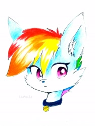 Size: 2135x2846 | Tagged: safe, artist:liaaqila, character:rainbow dash, species:fox, g4, bust, cheek fluff, collar, ear fluff, female, pet tag, portrait, simple background, solo, species swap, two toned coat, white background