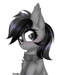 Size: 1516x1955 | Tagged: safe, artist:lazuli, oc, oc only, species:earth pony, species:pony, g4, blushing, bust, chest fluff, clothing, commission, ear fluff, earth pony oc, scarf, simple background, smiling, solo, transparent background, ych result