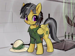 Size: 4023x2973 | Tagged: safe, artist:xbi, character:daring do, species:pegasus, species:pony, g4, 30 minute art challenge finished after, arrow, clothing, dungeon, female, folded wings, hat, high res, jacket, looking back, mare, solo, trap, wings, wrong eye color