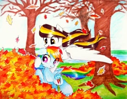 Size: 2964x2322 | Tagged: safe, artist:liaaqila, character:rainbow dash, oc, species:pegasus, species:pony, g4, commission, eye clipping through hair, female, leaves, mare, pile of leaves, traditional art, tree