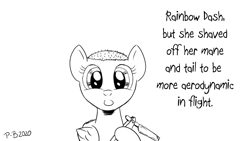 Size: 1200x675 | Tagged: safe, artist:pony-berserker, character:rainbow dash, g4, bald, cursed image, monochrome, pony-berserker's twitter sketches, razor blade, shaved, shaved mane, smiling