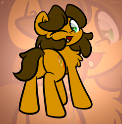 Size: 3200x3250 | Tagged: safe, artist:kimjoman, oc, oc only, oc:alex the chubby pony, species:earth pony, species:pony, g4, butt, chest fluff, colored pupils, commission, cute, dock, gradient background, looking at you, looking back, looking back at you, male, one eye closed, open mouth, plot, rear view, smiling, solo, stallion, wink, winking at you, zoom layer