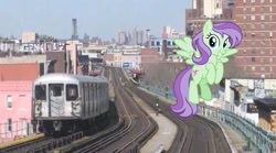 Size: 2048x1142 | Tagged: safe, artist:cheezedoodle96, artist:topsangtheman, character:violet twirl, species:pegasus, species:pony, g4, friendship student, irl, looking at you, new york city, new york city subway, photo, ponies in real life, solo
