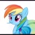 Size: 1024x1024 | Tagged: safe, ai model:thisponydoesnotexist, character:rainbow dash, g4, accidentally a canon character, artificial intelligence, don't look too closely, neural network