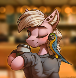 Size: 2910x3000 | Tagged: safe, artist:phenya, oc, oc only, species:bird, species:pony, g4, animal, blurred background, clothing, coffee, coffee cup, cup, duo, ear fluff, female, female focus, folded wings, hoodie, looking at you, macaw, mare, one eye closed, signature, smiling, solo focus, wings, wink