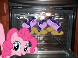 Size: 4000x3000 | Tagged: safe, artist:tess, character:pinkie pie, character:twilight sparkle, species:pony, clones, irl, not salmon, oven, photo, pie, ponies in real life, vector, wat