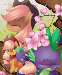 Size: 2150x2600 | Tagged: dead source, safe, artist:loyaldis, character:applejack, character:spike, species:dragon, species:pony, ship:applespike, cherry blossoms, cute, eyes closed, flower, flower blossom, heart eyes, unshorn fetlocks, wingding eyes